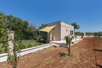 3121 La Cornula by Barbarhouse