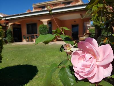 B&B Sedici Pini