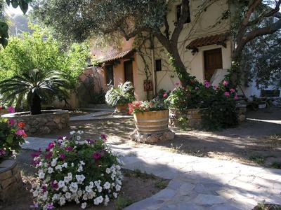 Olive Tree Cottages