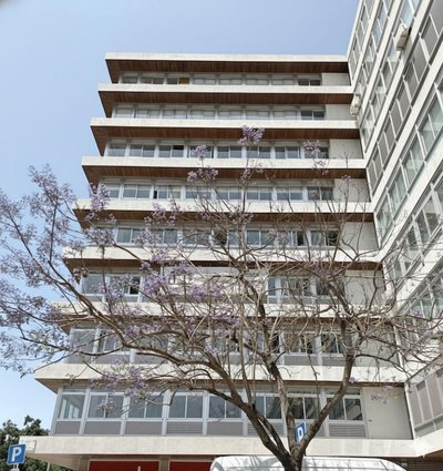 LSA Alvalade by Numa