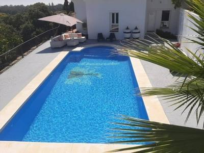 New Luxery Villa With Big Pool