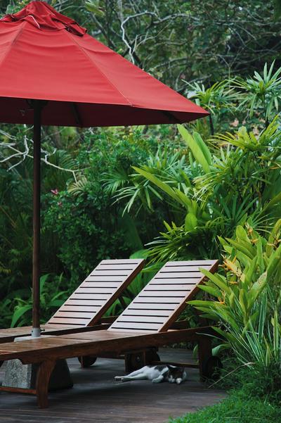 Palm Garden Ayurveda Resort