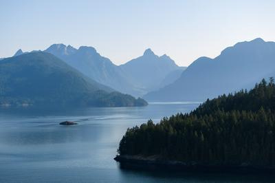 Backeddy Resort and Marina