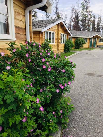 Jasper House Bungalows