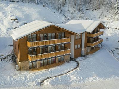 Chalet in Wagrain on Ski Slopes