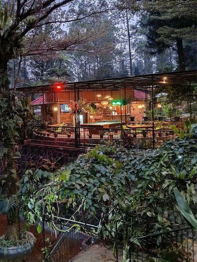The Pinewood Lodge & Organic Farm