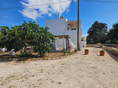 Lavanda in Polignano a Mare