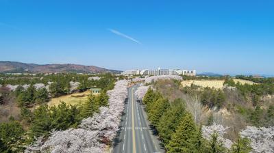 Kensington Resort Gyeongju