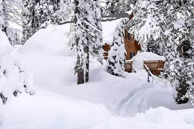 Near Hiking & Skiing: Bear Valley Cabin!