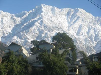 The Citadel Resorts, Jiya