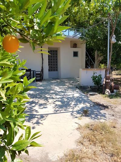 Farm House in Bio Orange Plantation
