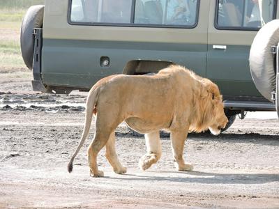 Kasi Tembo Rest House