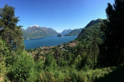 Baita Immersa Nel Verde