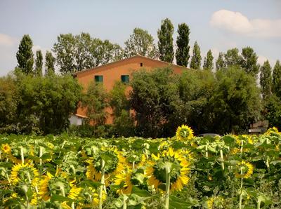Agriturismo Pinzale