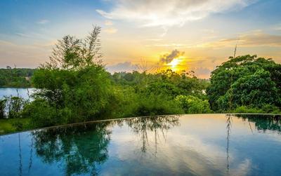 Mastiff Grand Bolgoda