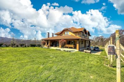 Hedonistic Vineyard Estate