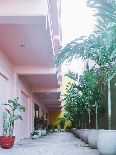 HIPHIPSTAY - THE COLONIAL