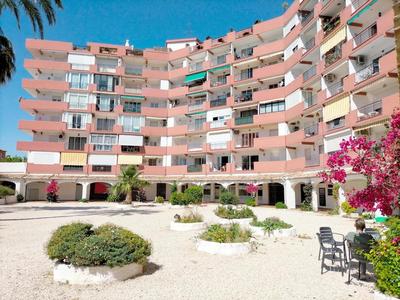 Javea Park in Platja de l Arenal