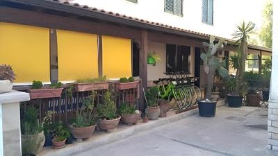 Gecko's House
