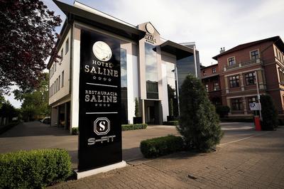 Hotel Saline