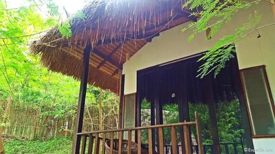 Love and Peace Deep Jungle and River Resort