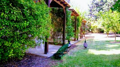 Kibbutz Tiratzvi - Country Lodging