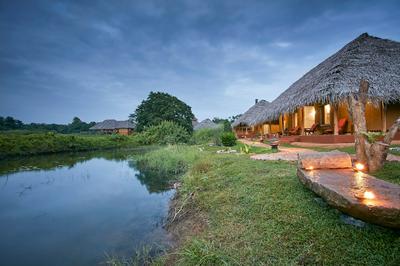 Amuna Ayurveda and Wellness Retreat