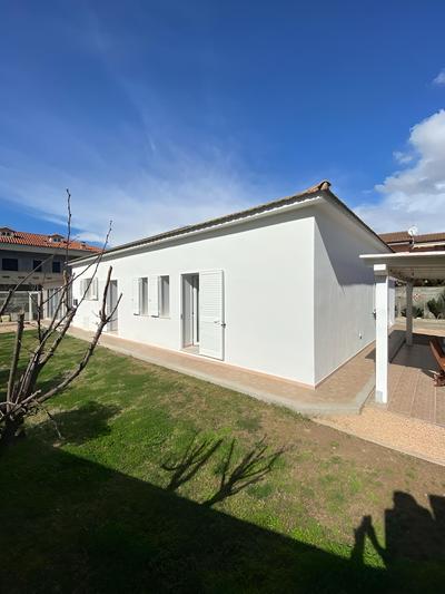 B&B Tigrillo