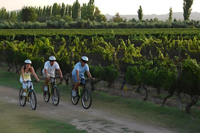 Apartamento entre viñedos