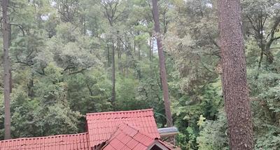 Encino House Hotel Boutique