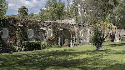 Meson Real de la Plata