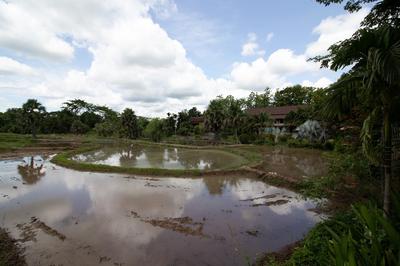 Royal Train Garden Resort