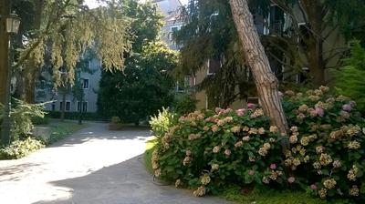 Giudecca Garden
