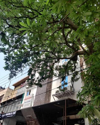 Hotel Green Arrow Rohini