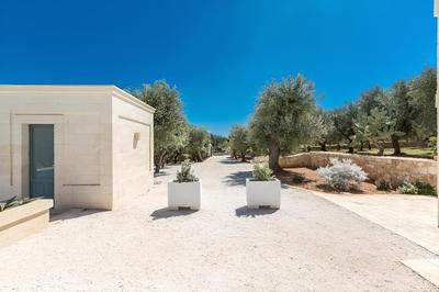 3856 Trulli Ulivo di Puglia by Barbarhouse