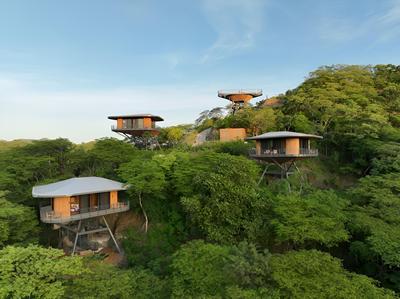 Suitree Experience Hotel