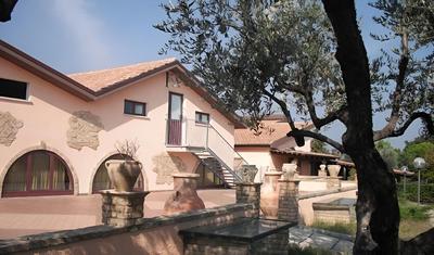 Azienda Vitivinicola Sergio Del Casale