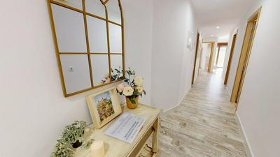 Apartamentos Consuegra