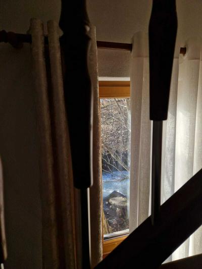 Guest House Korabi