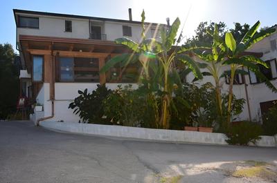 Il Moro della Molpa