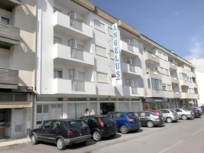 ANGELUS Alojamento local