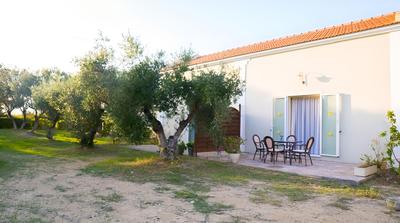 Olive Trees Garden Lixouri