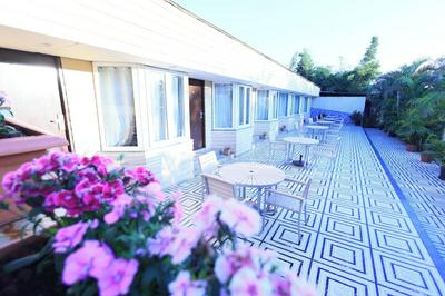 Hotel King Garden