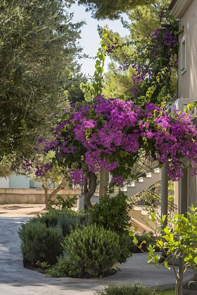 Thalassa Boutique Hotel - Adults Only