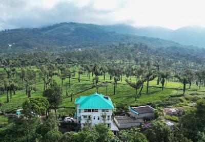 Lumino Winter Castle