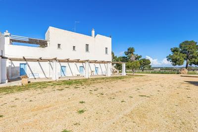 3351 Masseria Pepe - La Casina dei Limoni