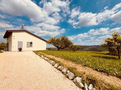 Villetta Monte San Lorenzo, Billede 2