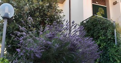 Fabiola Bed & Breakfast