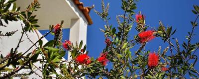 Sunny day's Hotel Apartments