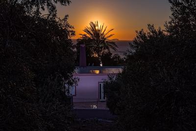 Palm Beach House